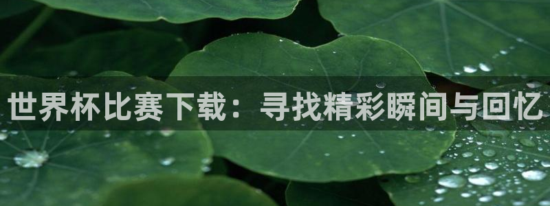 世界杯欧洲区世预赛赛程：世界杯比赛下载：寻找精彩瞬间与回忆