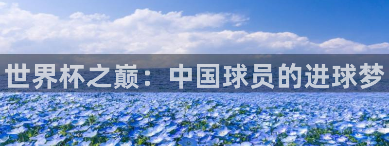 世界杯直播平台：世界杯之巅：中国球员的进球梦