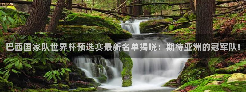 2026世界杯官网入口：巴西国家队世界杯预选赛最新名单揭晓：期待亚洲的冠军队!