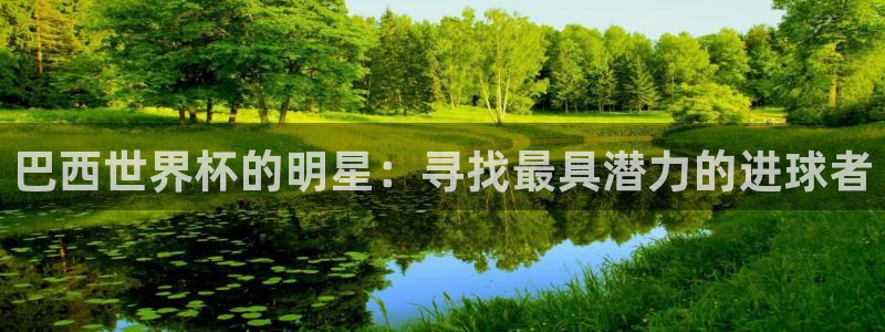 2026世界杯对阵图：巴西世界杯的明星：寻找最具潜力的进球者