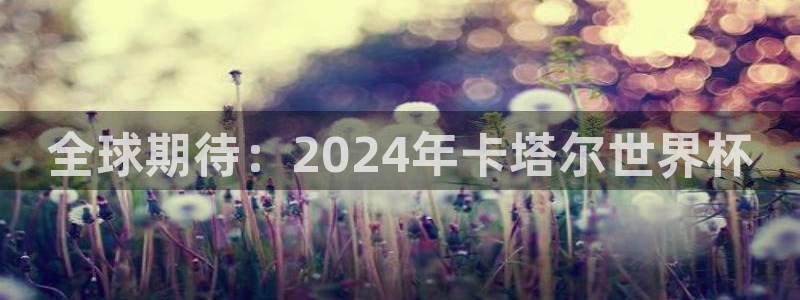 世界杯葡萄牙赛程：全球期待：2024年卡塔尔世界杯