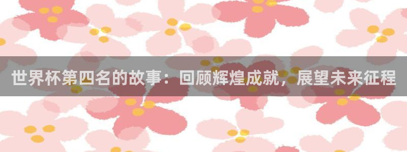 世界杯预选赛赛程时间表：世界杯第四名的故事：回顾辉煌成就，展望未来征程