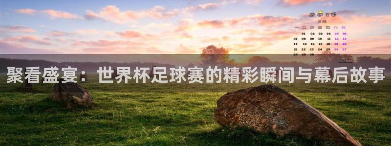 26世界杯：聚看盛宴：世界杯足球赛的精彩瞬间与幕后故事