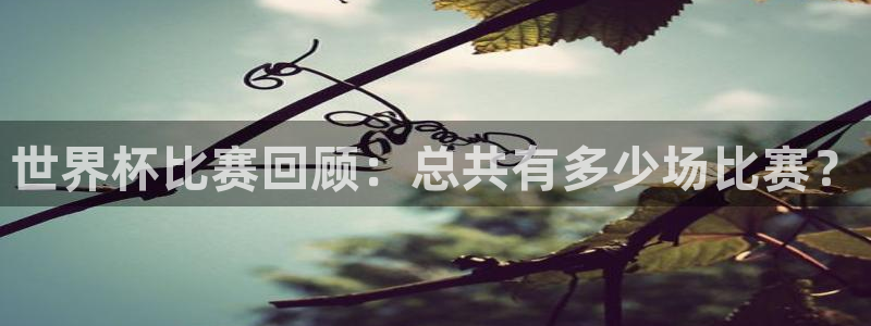世界杯直播网：世界杯比赛回顾：总共有多少场比赛？
