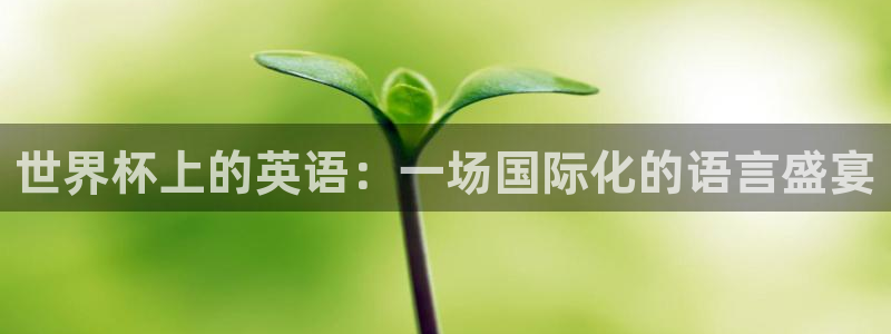 世界杯视频：世界杯上的英语：一场国际化的语言盛宴