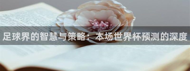 世界杯直播高清：足球界的智慧与策略：本场世界杯预测的深度