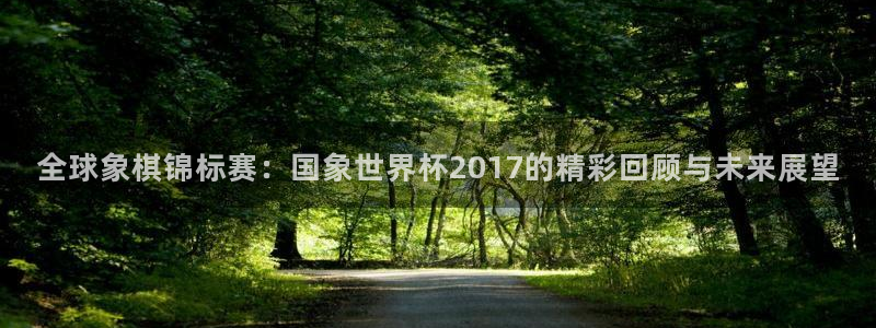 预选赛世界杯：全球象棋锦标赛：国象世界杯2017的精彩回顾与未来展望
