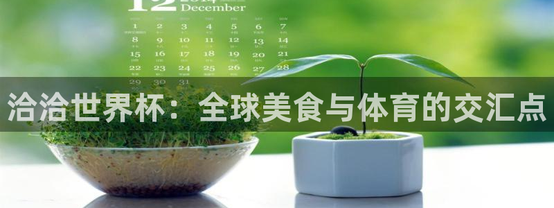 2026世预赛赛程表：洽洽世界杯：全球美食与体育的交汇点