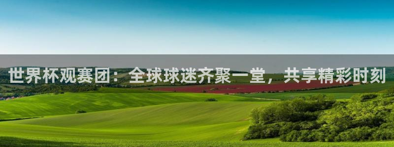 2026世界杯足球赛程时间表：世界杯观赛团：全球球迷齐聚一堂，共享精彩时刻