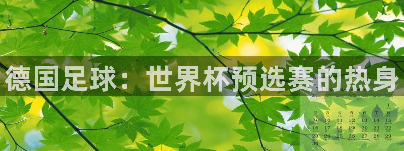 2026足球世界杯：德国足球：世界杯预选赛的热身