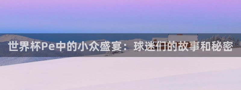 2026世界杯买球：世界杯Pe中的小众盛宴：球迷们的故事和秘密