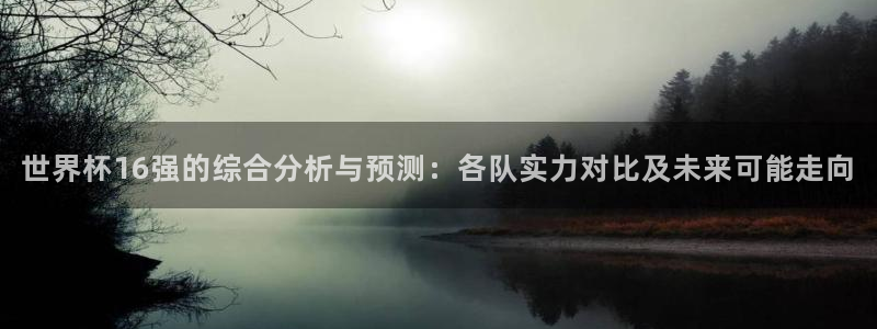免费看足球直播比赛：世界杯16强的综合分析与预测：各队实力对比及未来可能走向
